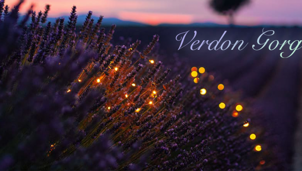 Verdon | The Beauty of Nature